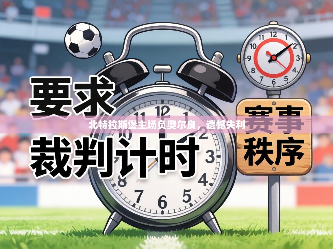 北特拉斯堡主场负奥尔良，遗憾失利  第1张