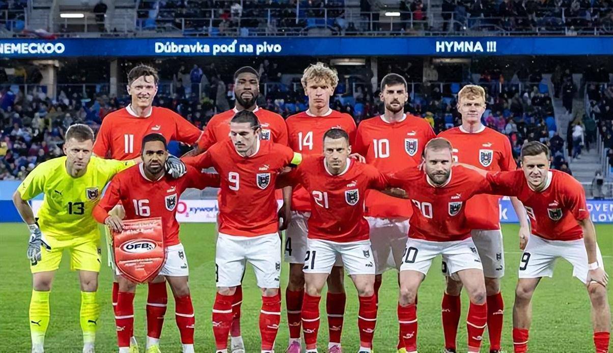 爱游戏官网-土耳其国家队领队对球队表现给予高度评价，积极进取的简单介绍