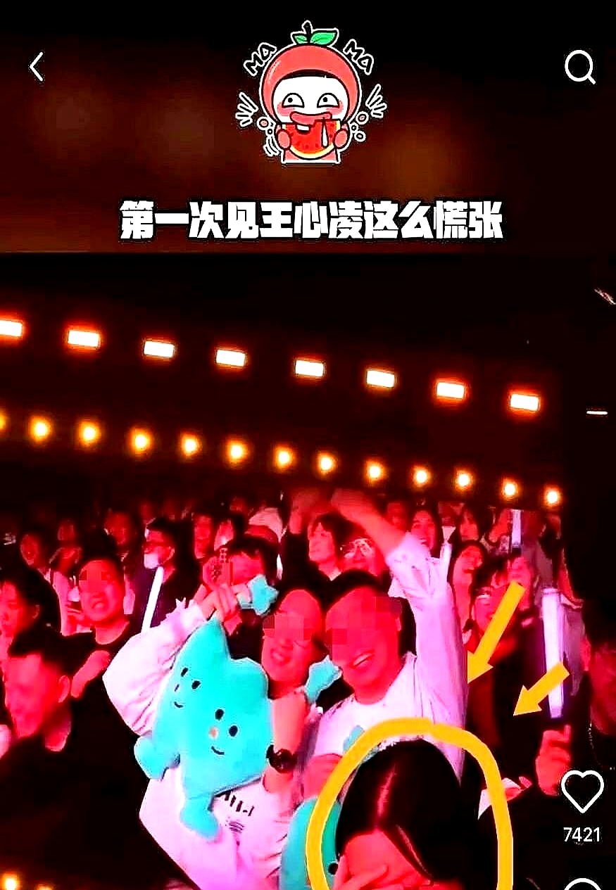 比赛过程中引发现场粉丝情绪高涨